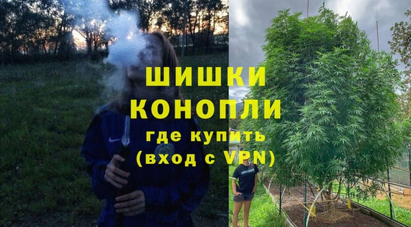 стафф Няндома