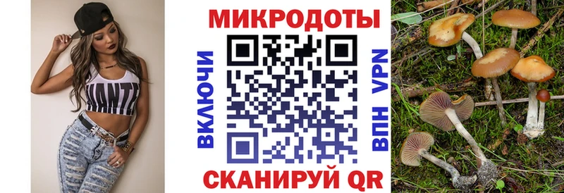 Галлюциногенные грибы Psilocybine cubensis  купить закладку  Стрежевой 
