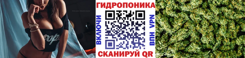дарнет шоп  Стрежевой  Бошки марихуана гибрид 